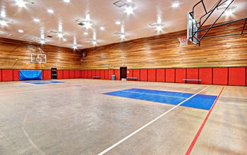 Basketball court